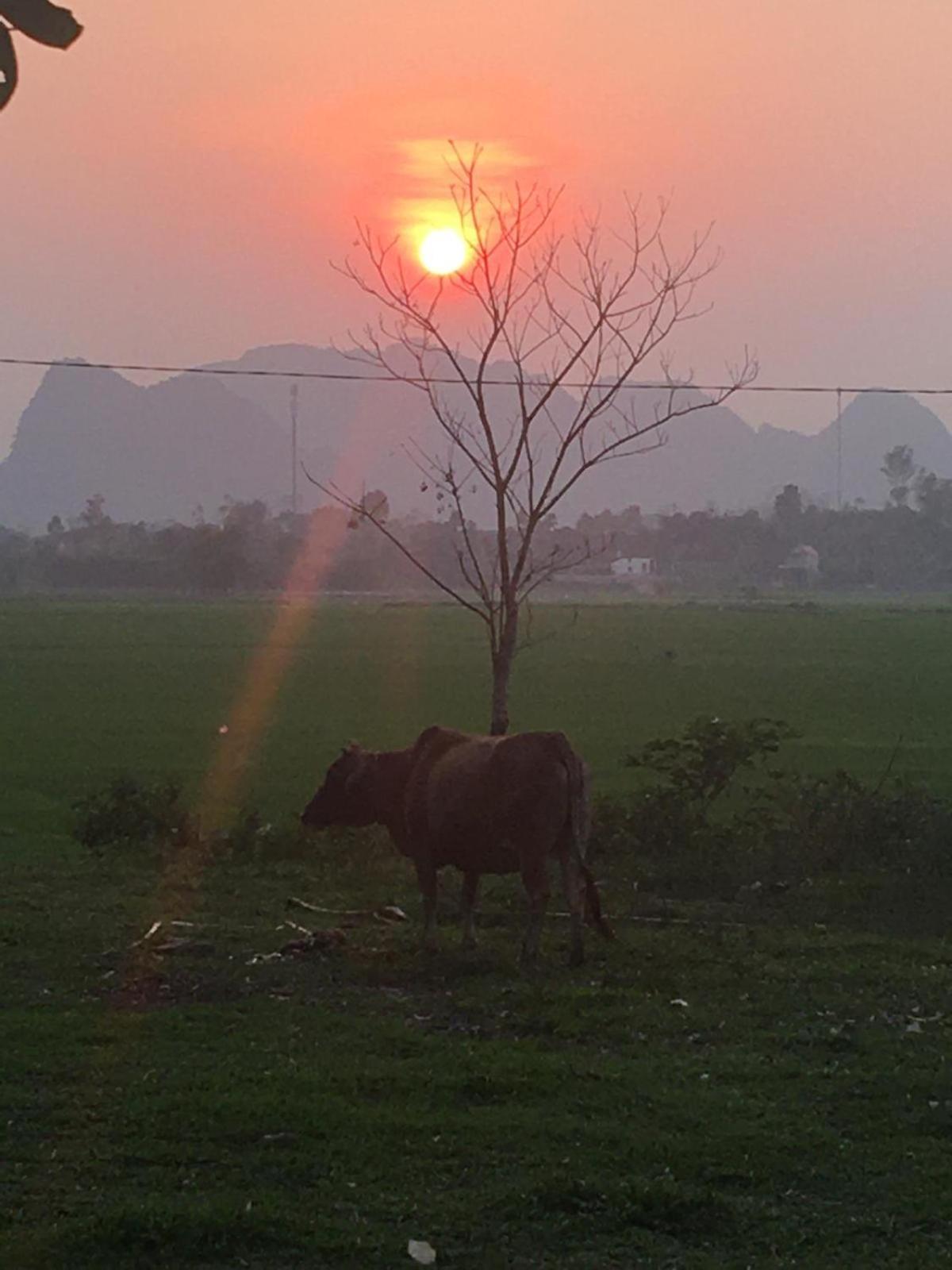 Palafita Bungalow Phong Nha Ngoại thất bức ảnh