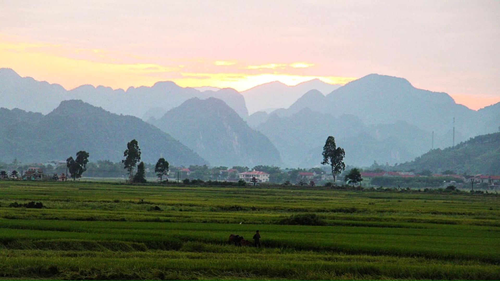 Palafita Bungalow Phong Nha Ngoại thất bức ảnh