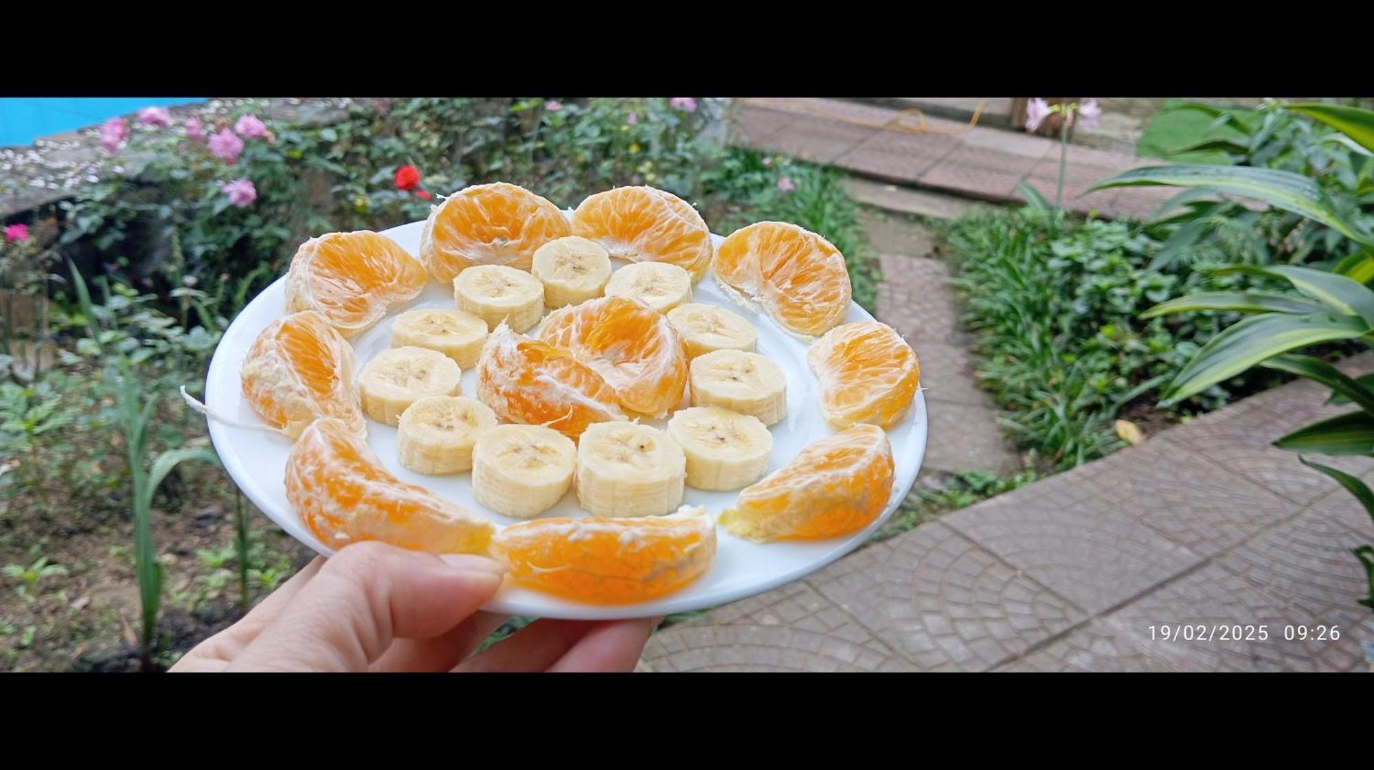 Palafita Bungalow Phong Nha Ngoại thất bức ảnh