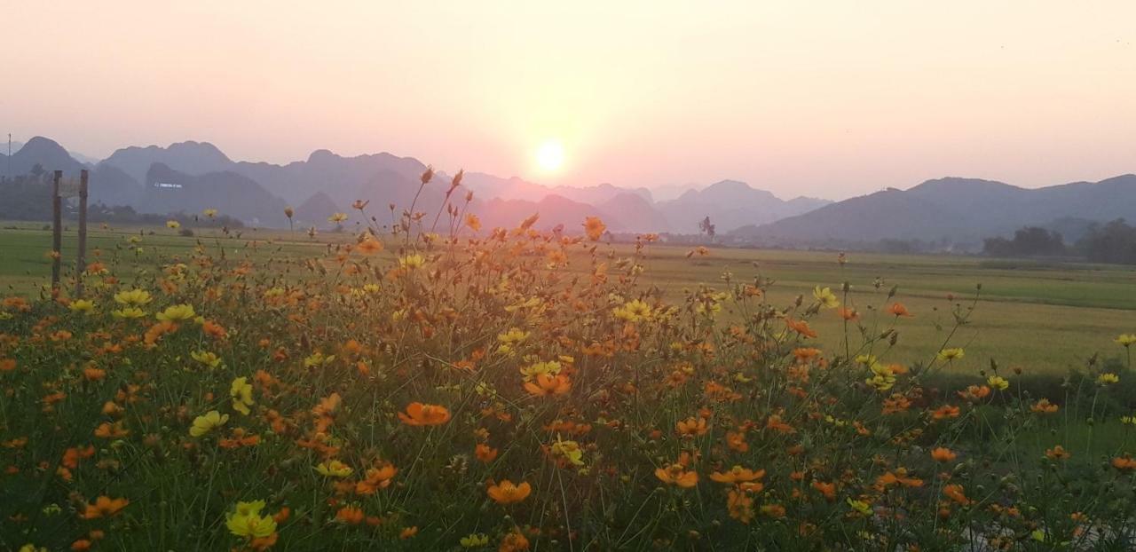 Palafita Bungalow Phong Nha Ngoại thất bức ảnh